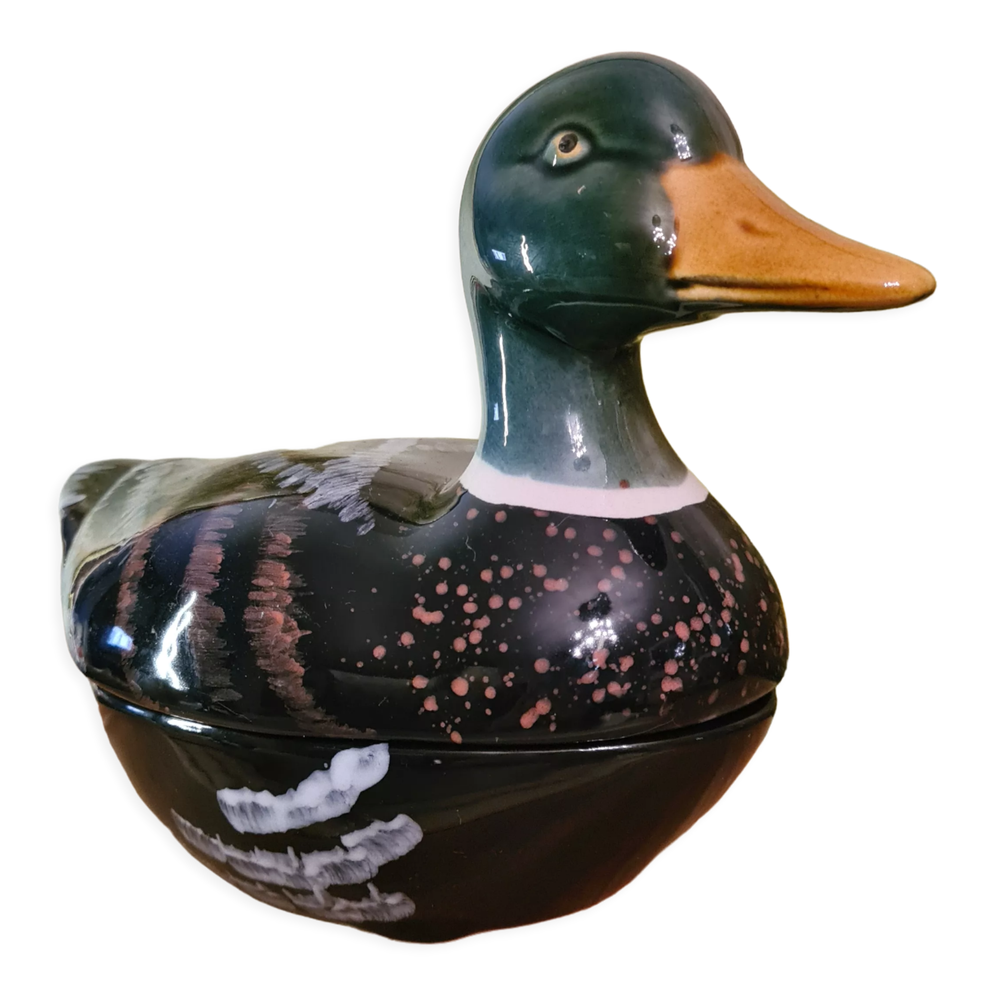 Terrine caugant duck