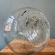 Old transparent Dame Jeanne 30L