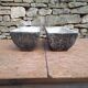 Cement planters