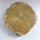 Imposing vintage alabaster ashtray