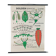 Vintage educational wall hanging roll chart biology plants