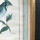Jay ornithological board