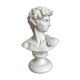 Bust David in stone