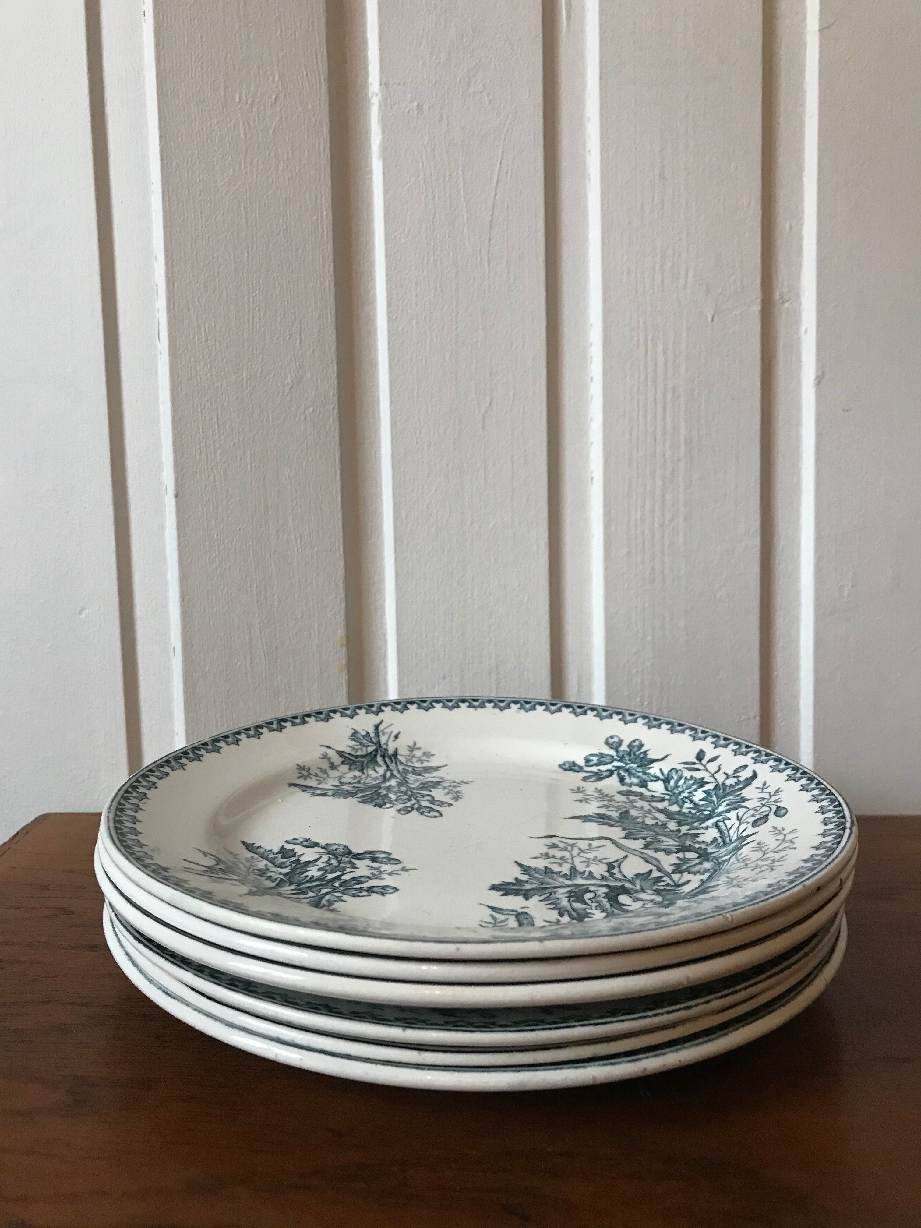 Lot 6 flat plates iron earth Thistle