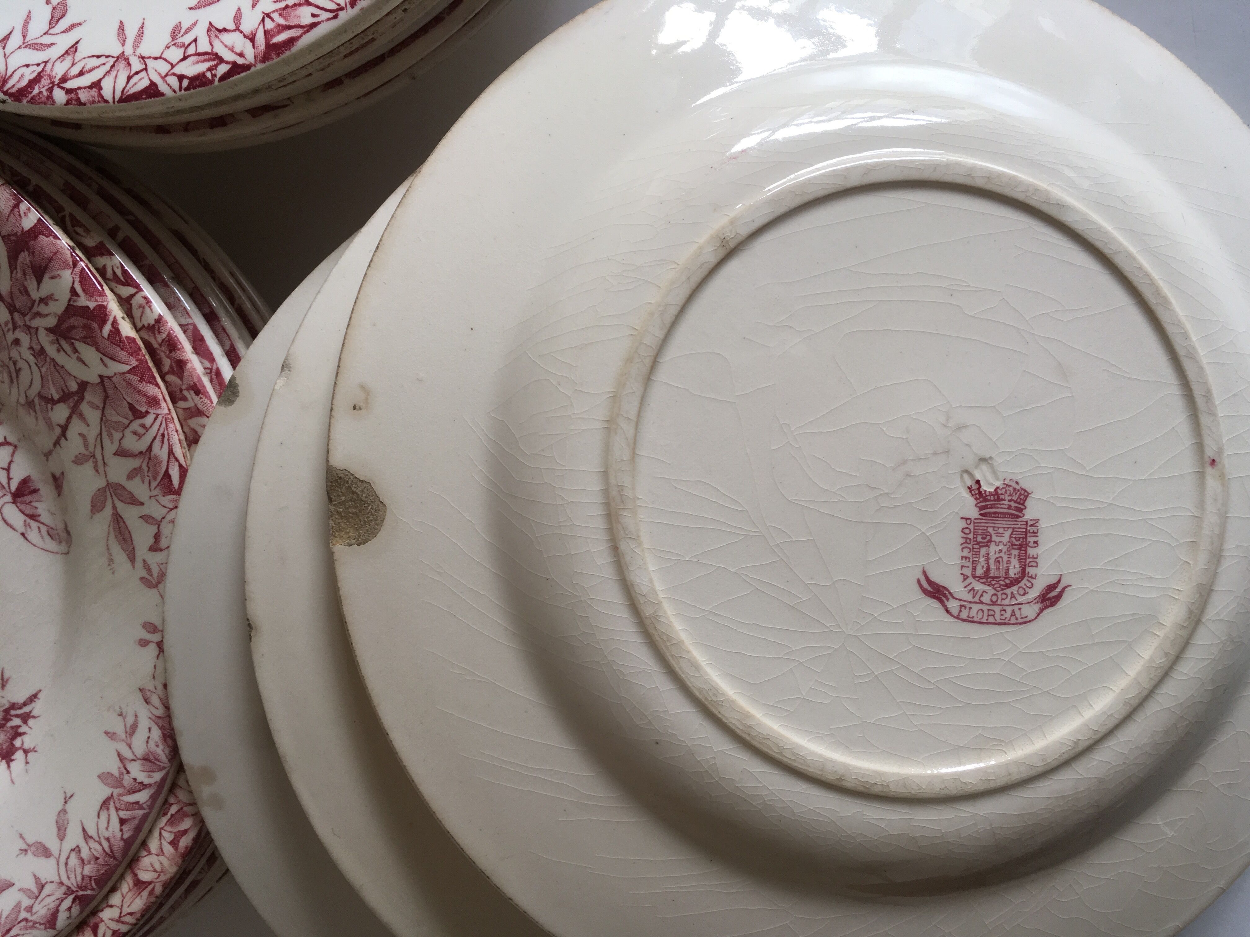 Series of 11 plates flat 19th in faience of Gien