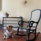Bentwood Champagne Style Wooden Rocking Chair