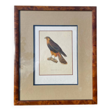 Wooden bird frame