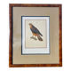 Cadre oiseau bois