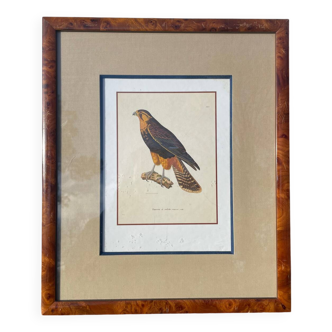 Wooden bird frame