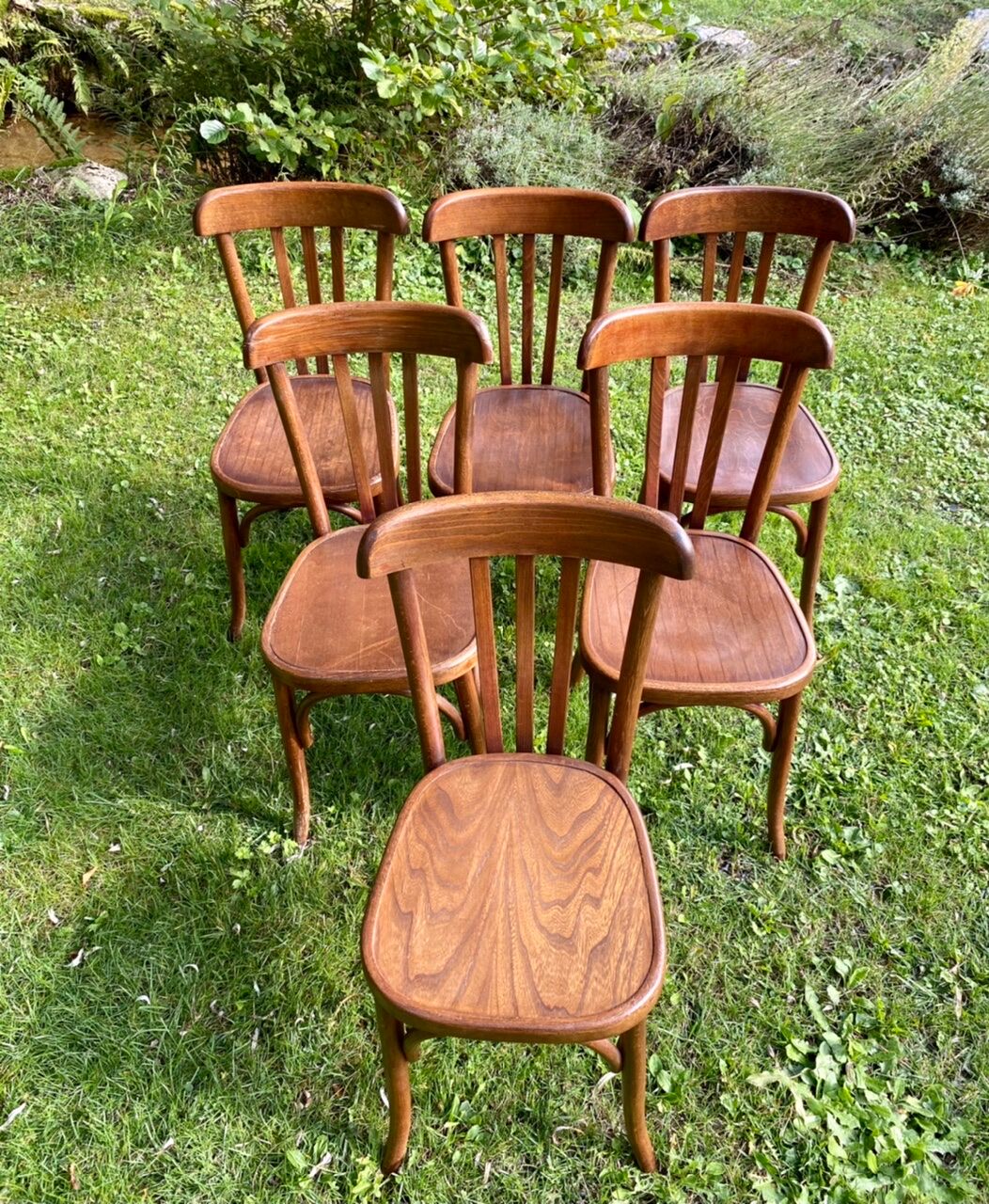 Set of 6 chairs bistro Fischel early XX century