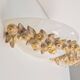 Vintage Bowl Wall Lamps in Goldleaf Murano Glass, Italy, 1970s, Set of 2