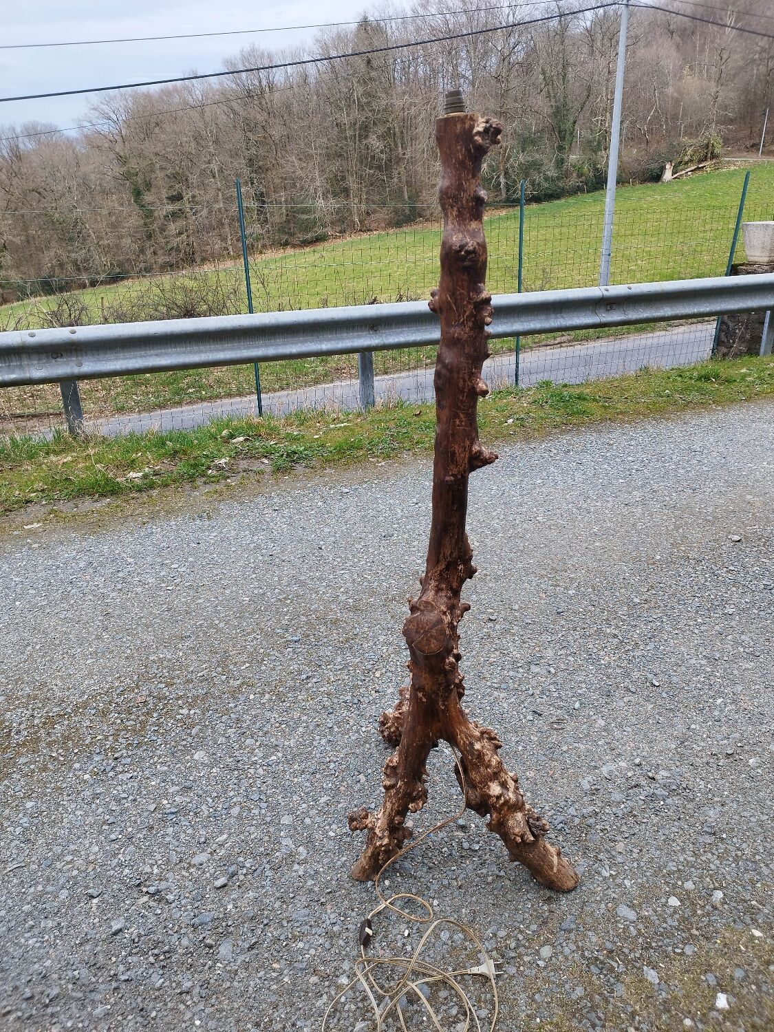 Pair of wooden floor lamps