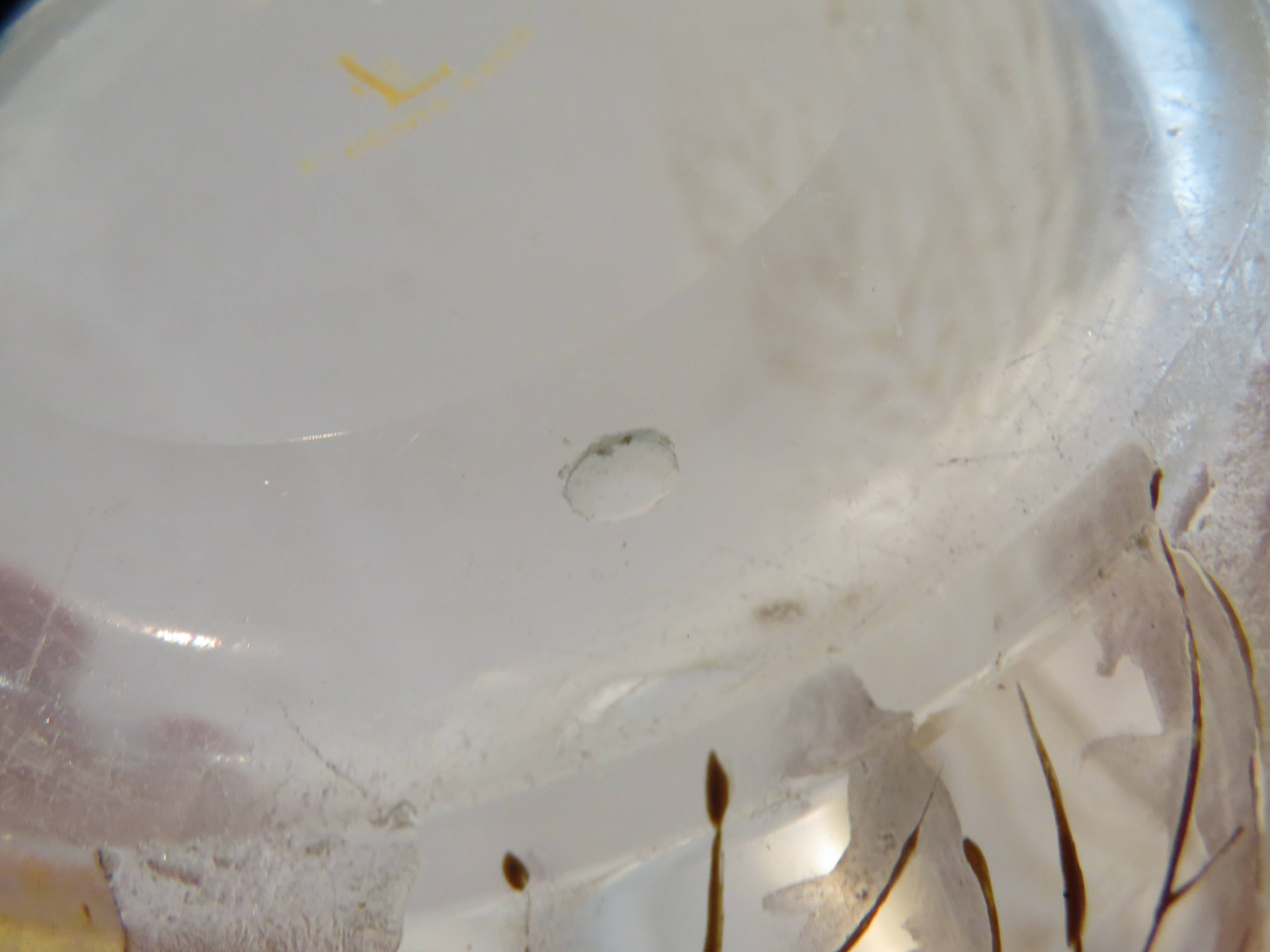 Beautiful acid-etched glass vase from Legras Saint Denis with chestnut tree decoration