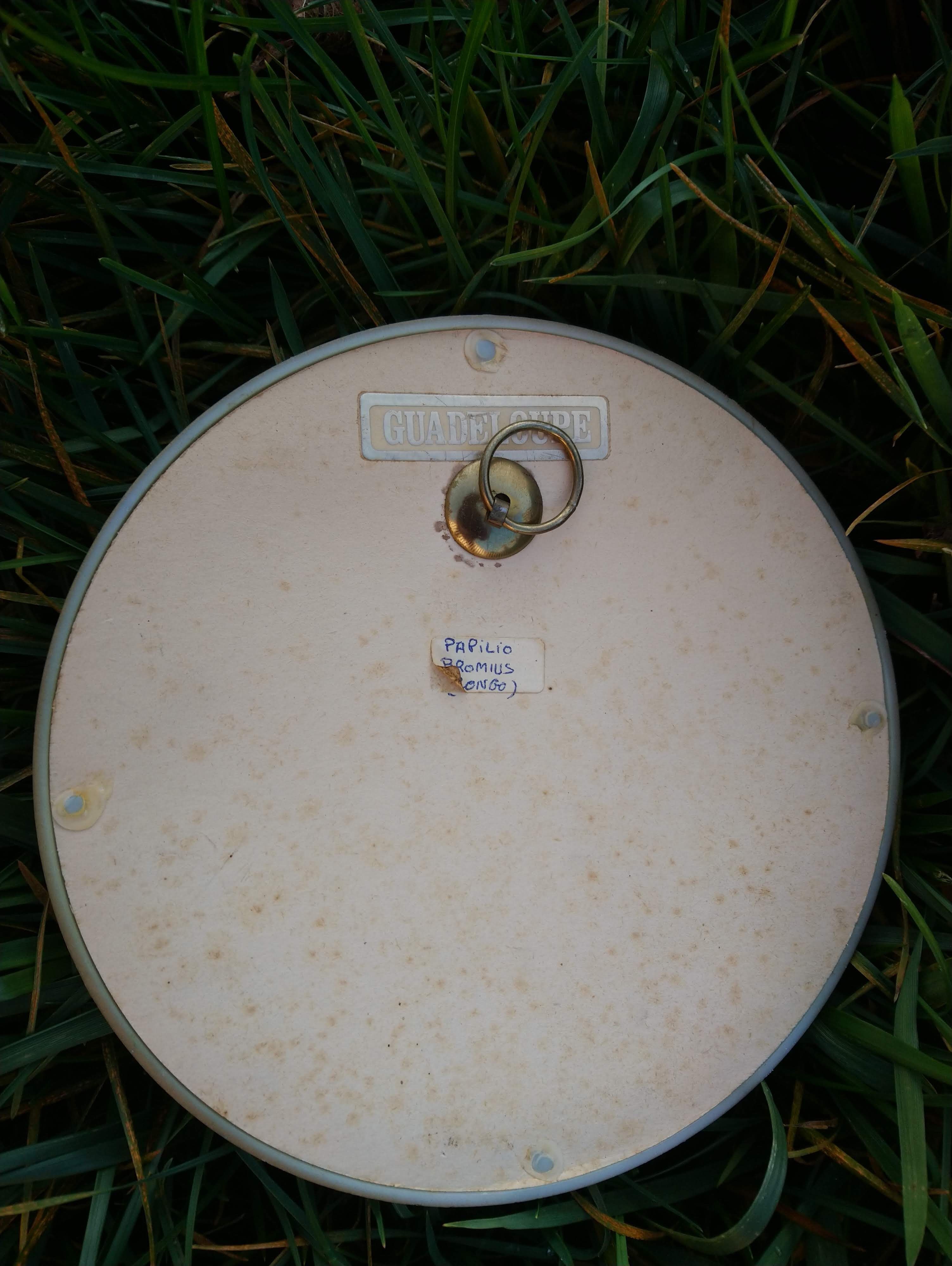 Butterfly round shape