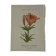 Botanical plate engraving flower 1800 double-sided coloured