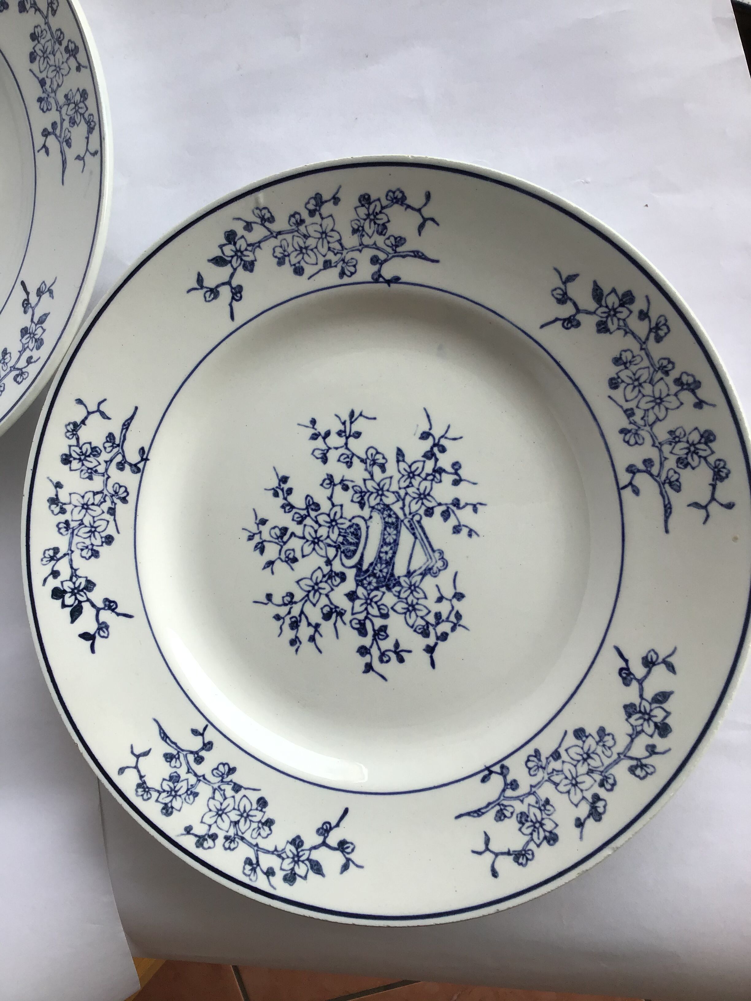 Paire assiettes Terre de Fer St Amand marine et blanc