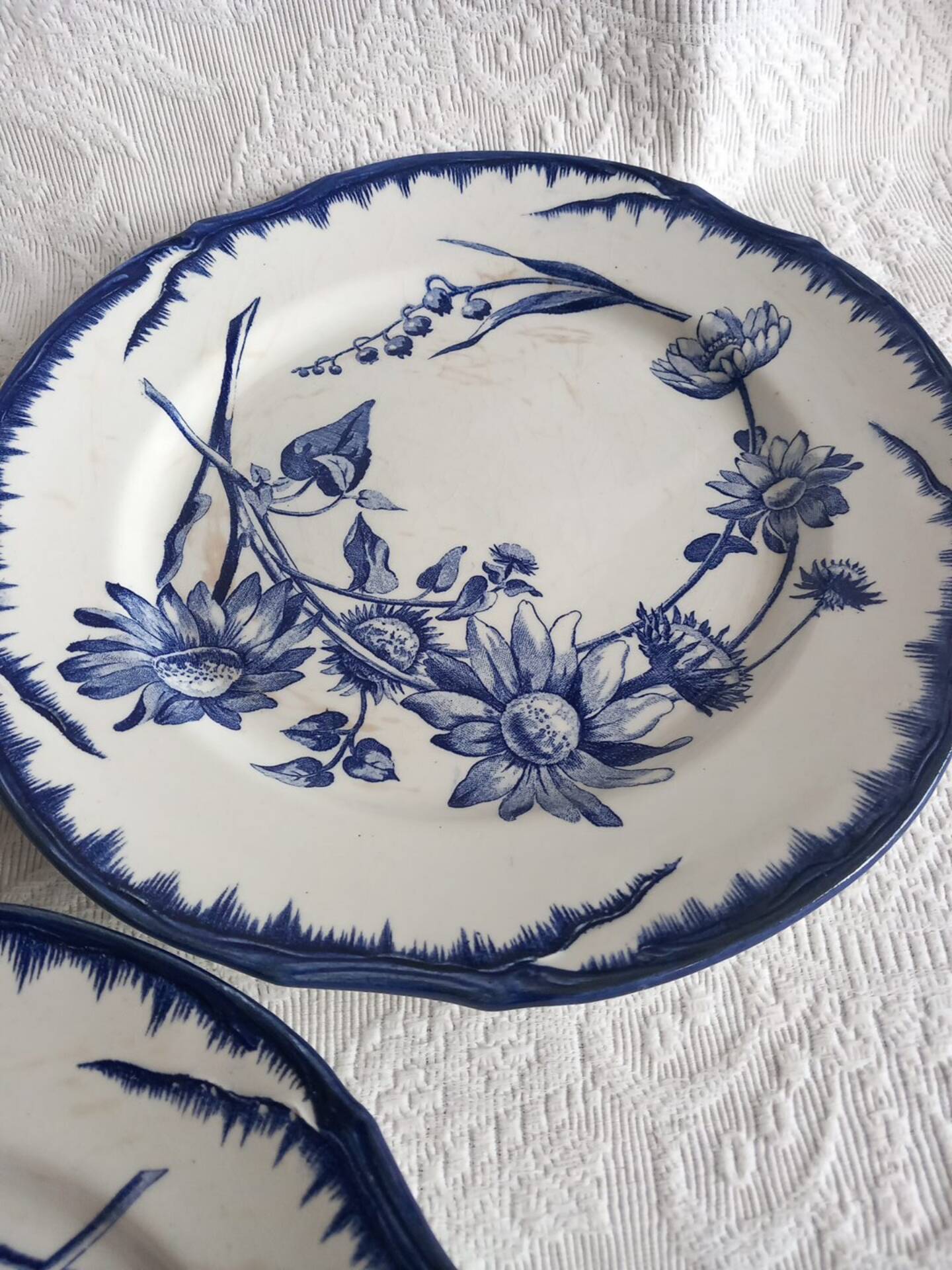 6 antique plates Creil & Montereau Sunflower model – 19th century