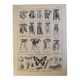 Ancienne gravure sur les carottes - 1920