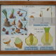 Set of 10 Rossignol posters on plants with frame