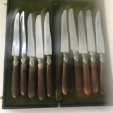 Service of 10 steel knives
