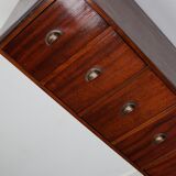 Dutch Industrial Mahogany Apothecary Cabinet, Mid-20th Century