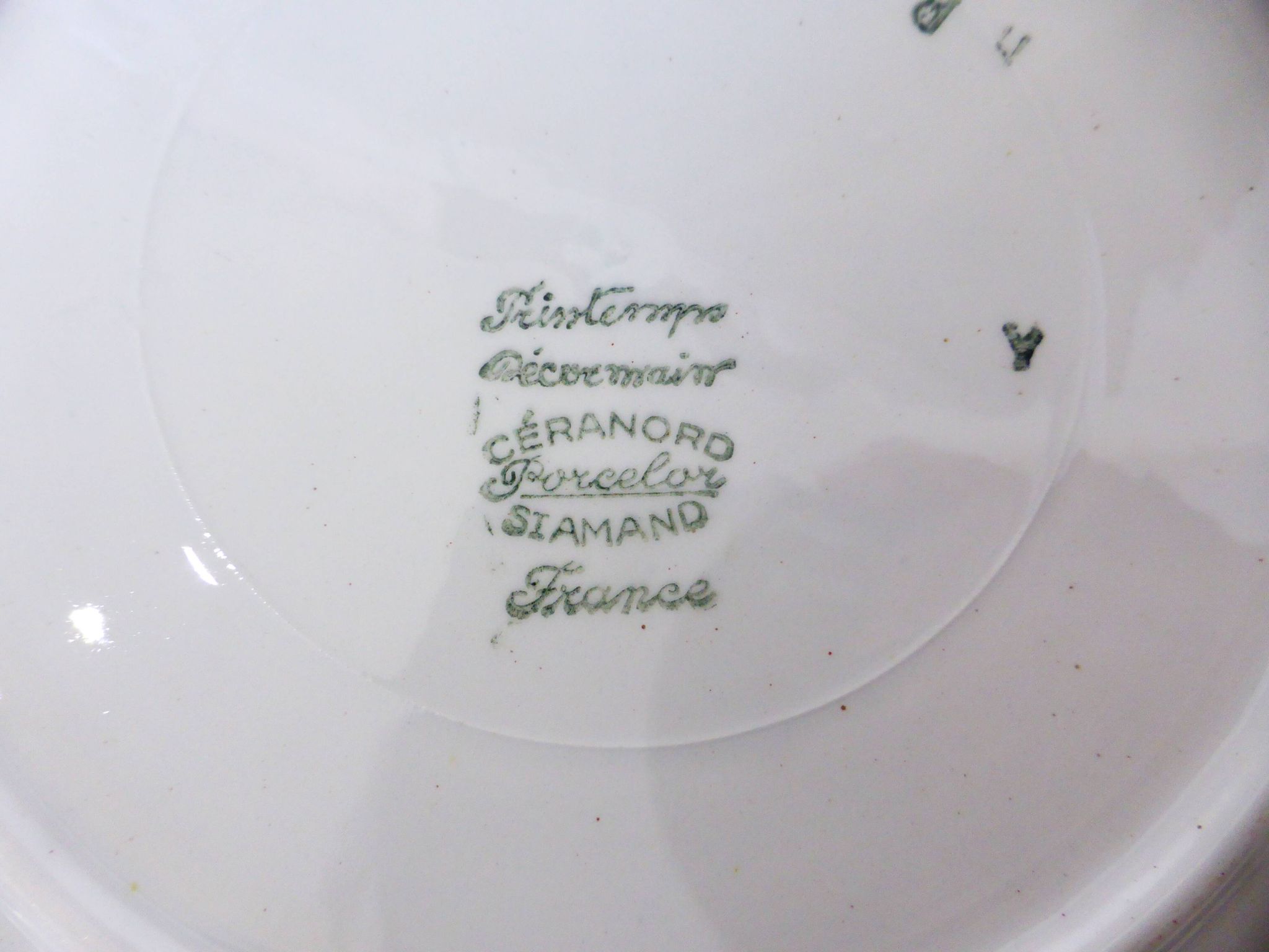 2 deep plates Céranord St Amand model Le Printemps (220634)