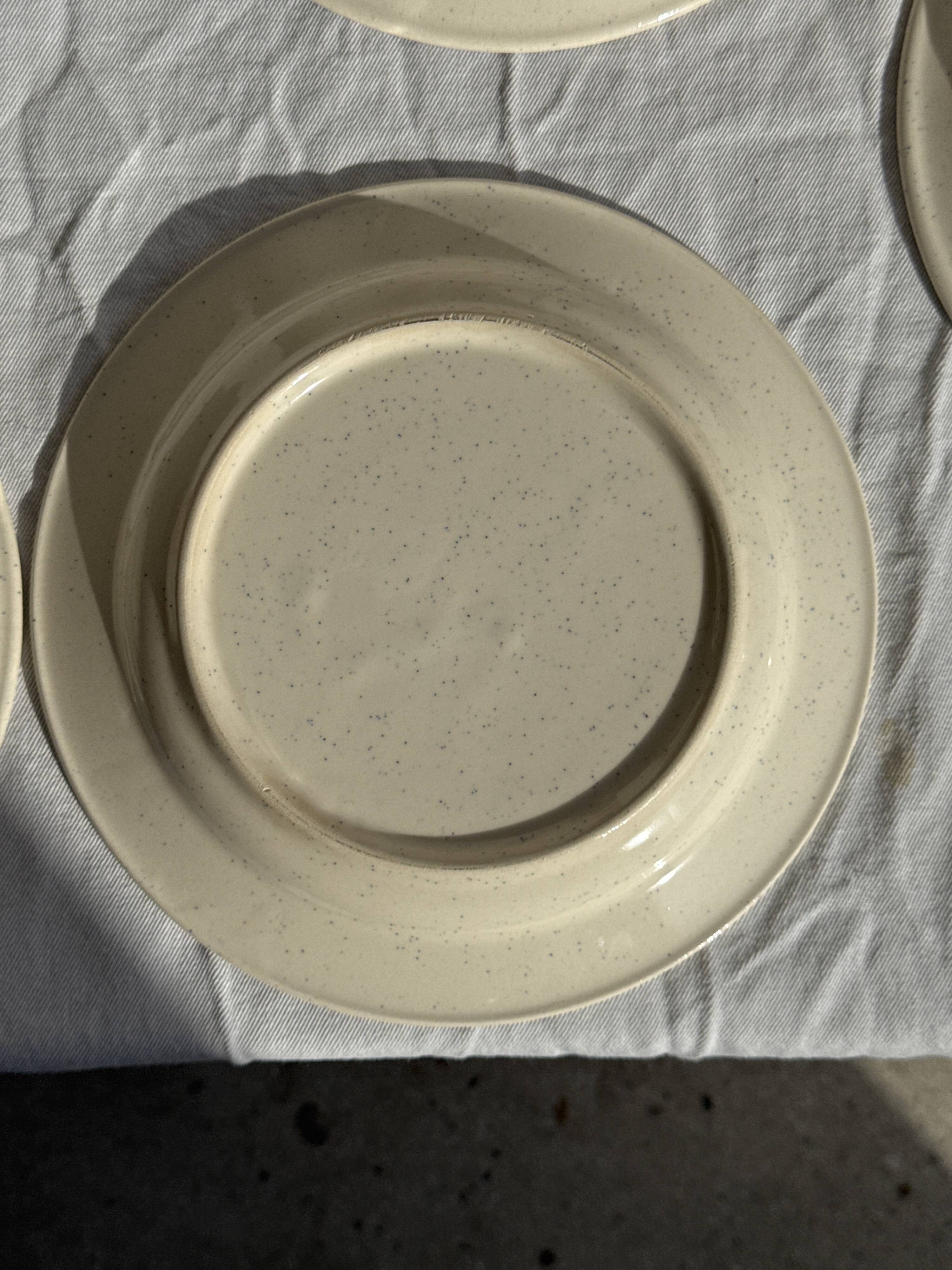 Set consisting of 6 beige flat plates with a blue rim + 3 deep plates.