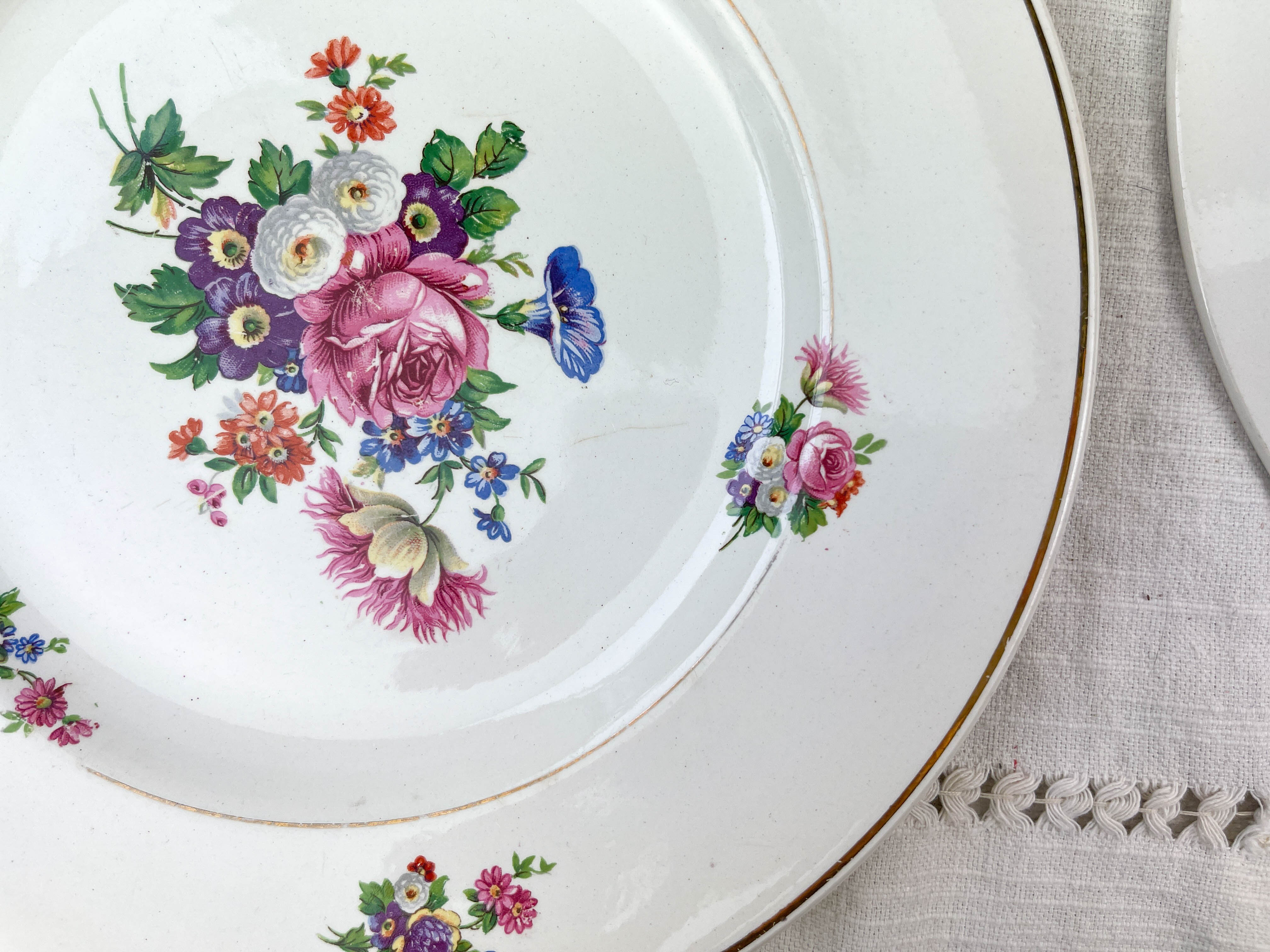 6 assiettes terre de fer salins modèle "anny" motif fleuris