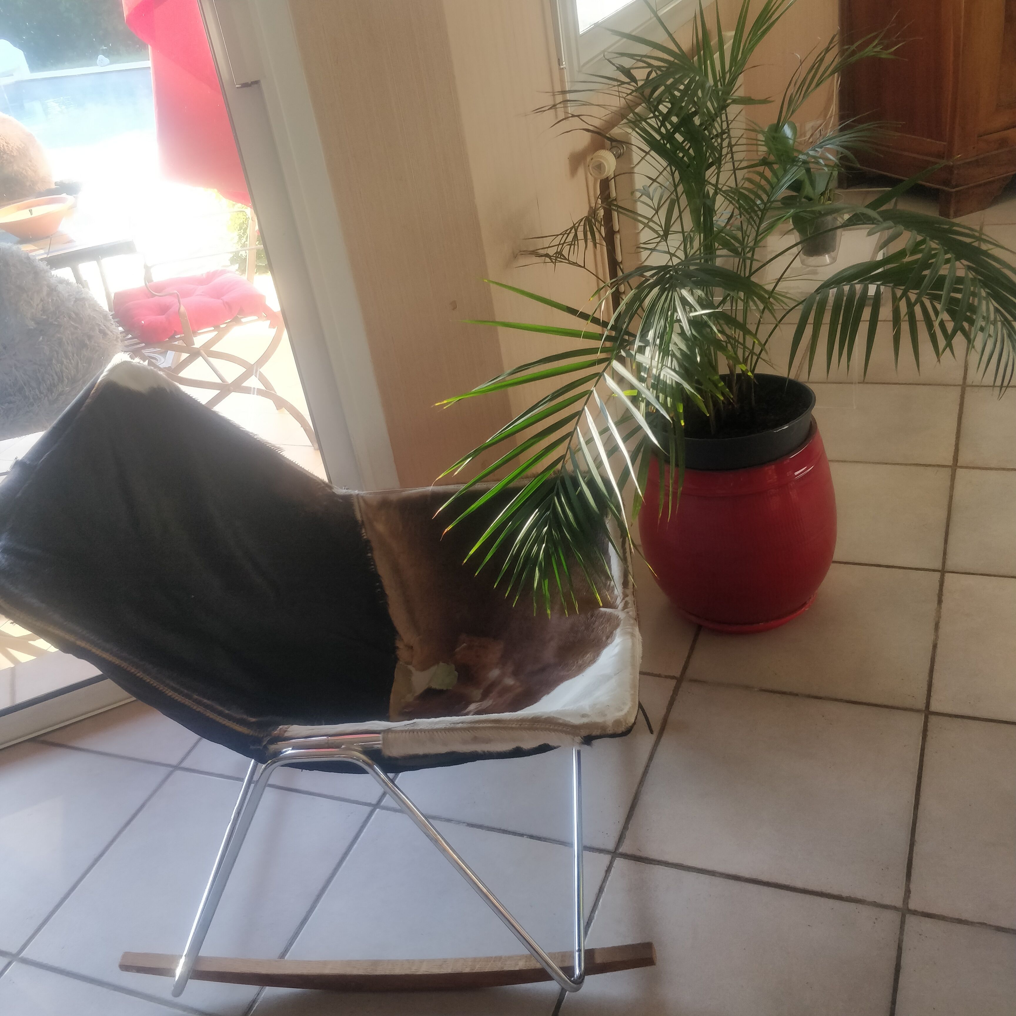 Rocking chair G2 Pierre Guariche