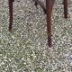 Set of 6 old bistro chairs Baumann and others