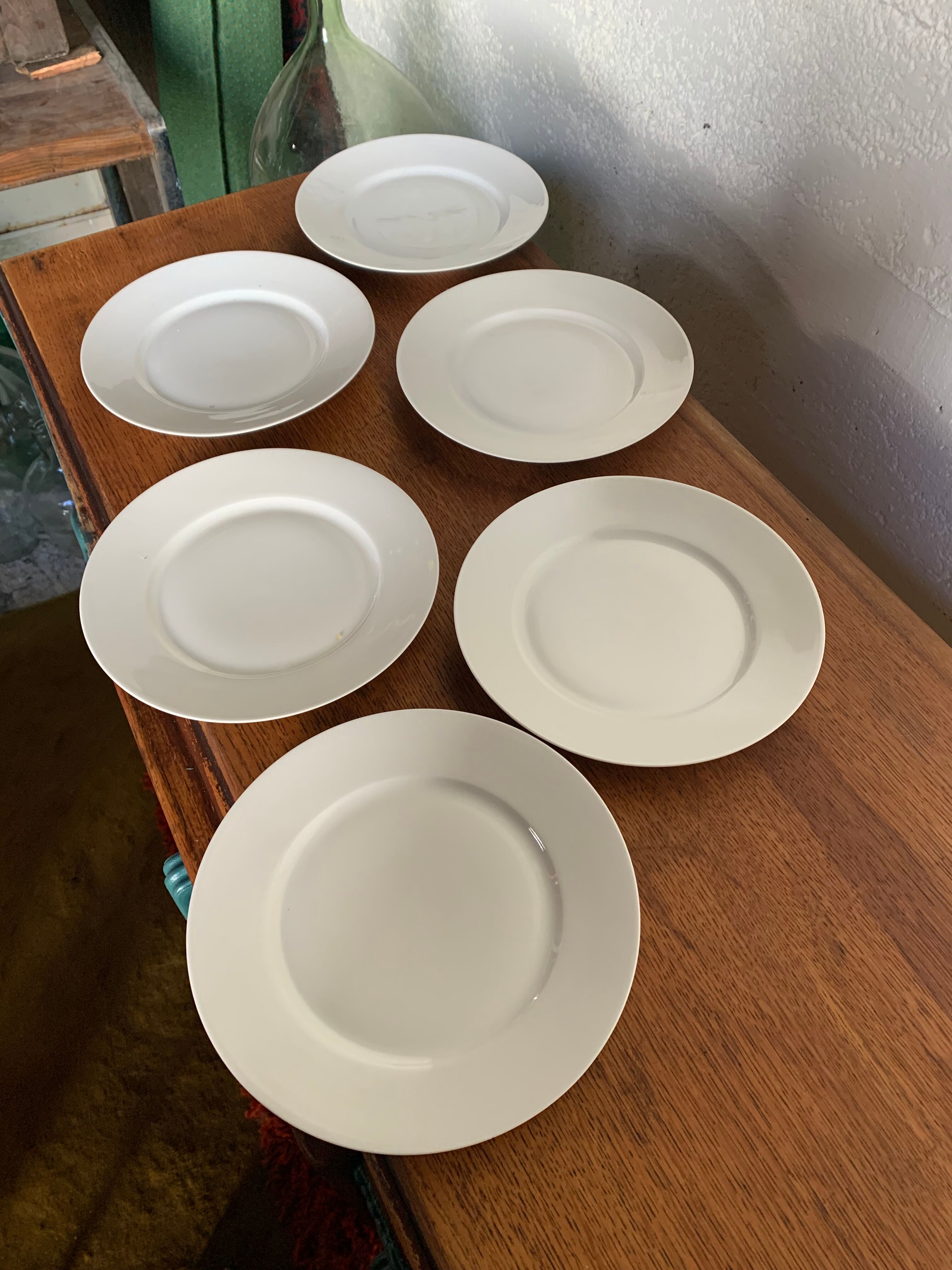6 flat plates Limoges porcelain.