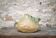 Vintage glazed ceramic soliflore, La Borne pottery, countryside, brutalist.