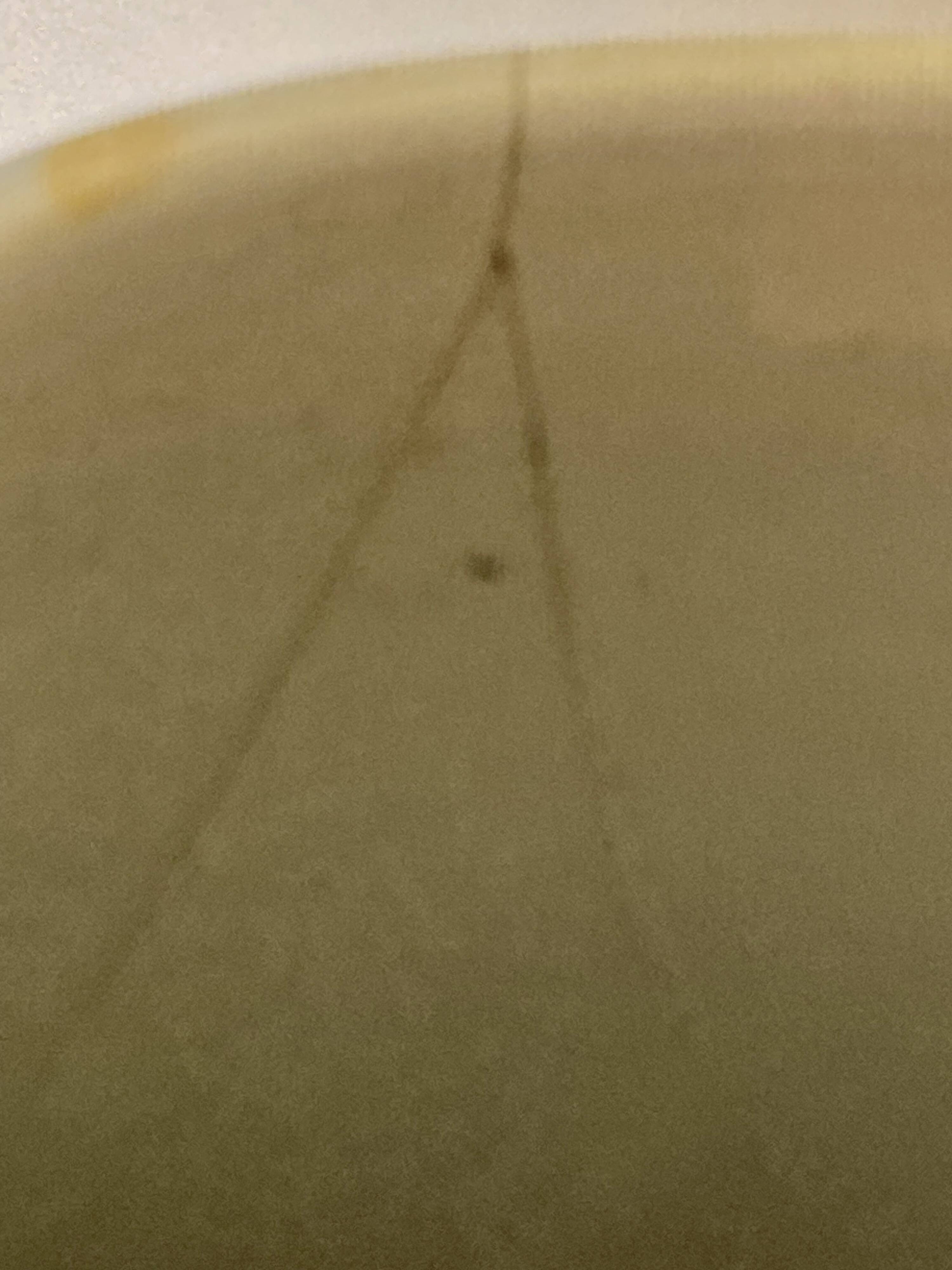 Danish vase - Baca - Johanne Gerber - Royal Copenhagen - Denmark - vintage size XXL