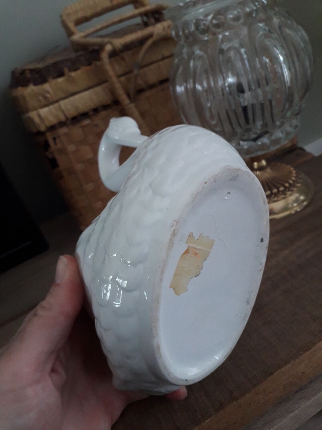 Swan plant pot