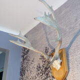 Suede hunting trophy