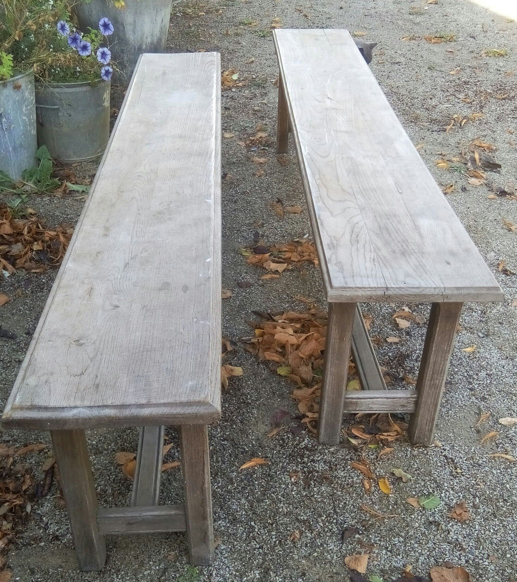 Pair of oak benches