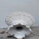 White woven ceramic fruit bowl