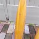 Pair of vintage oars