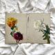2 paintings on old cardboard dahlia flowers