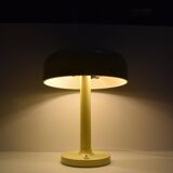 Rare Table Lamp by NAPAKO, 1970's.
