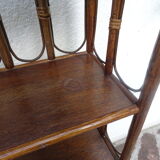 Rattan canning shelf