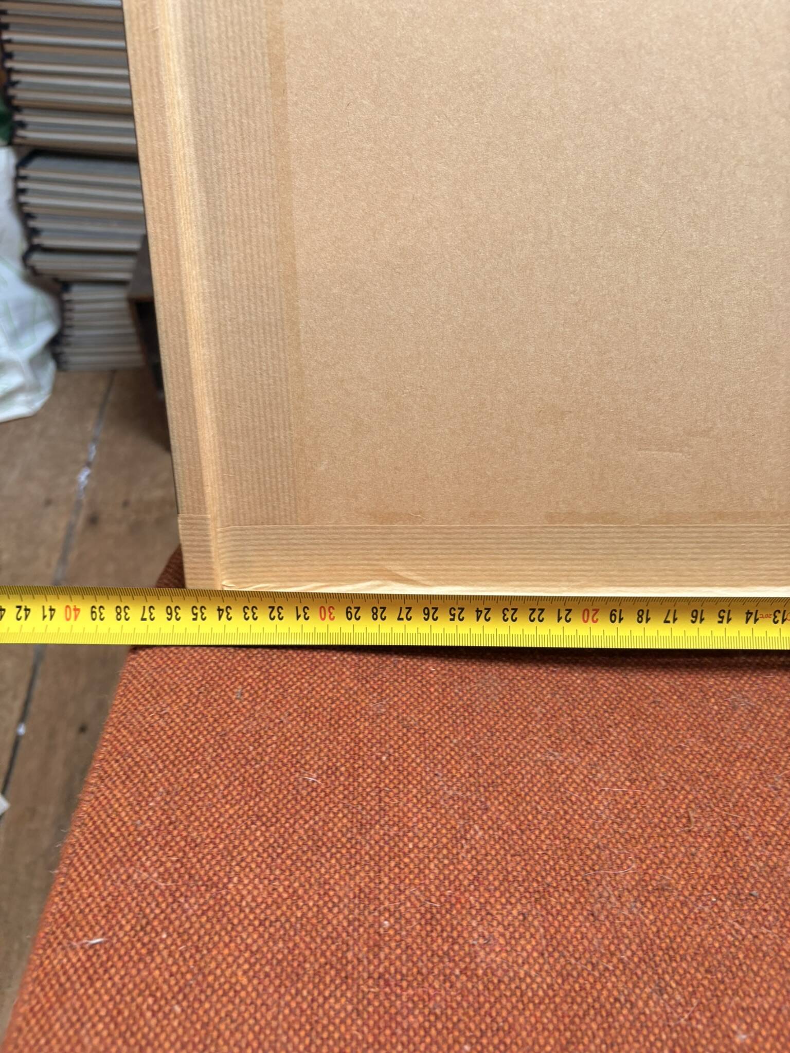 Old Engraving 19th Century Framed Anatomy Nose Mouth Plate Head Morphology