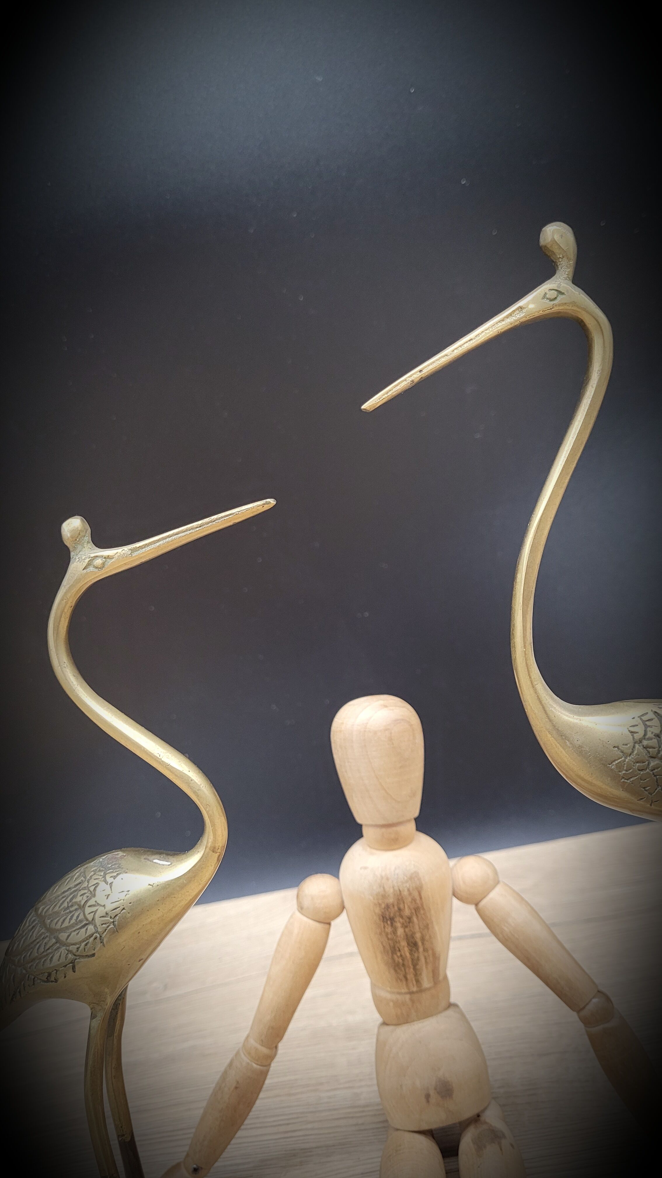 Duo ashy herons in brass