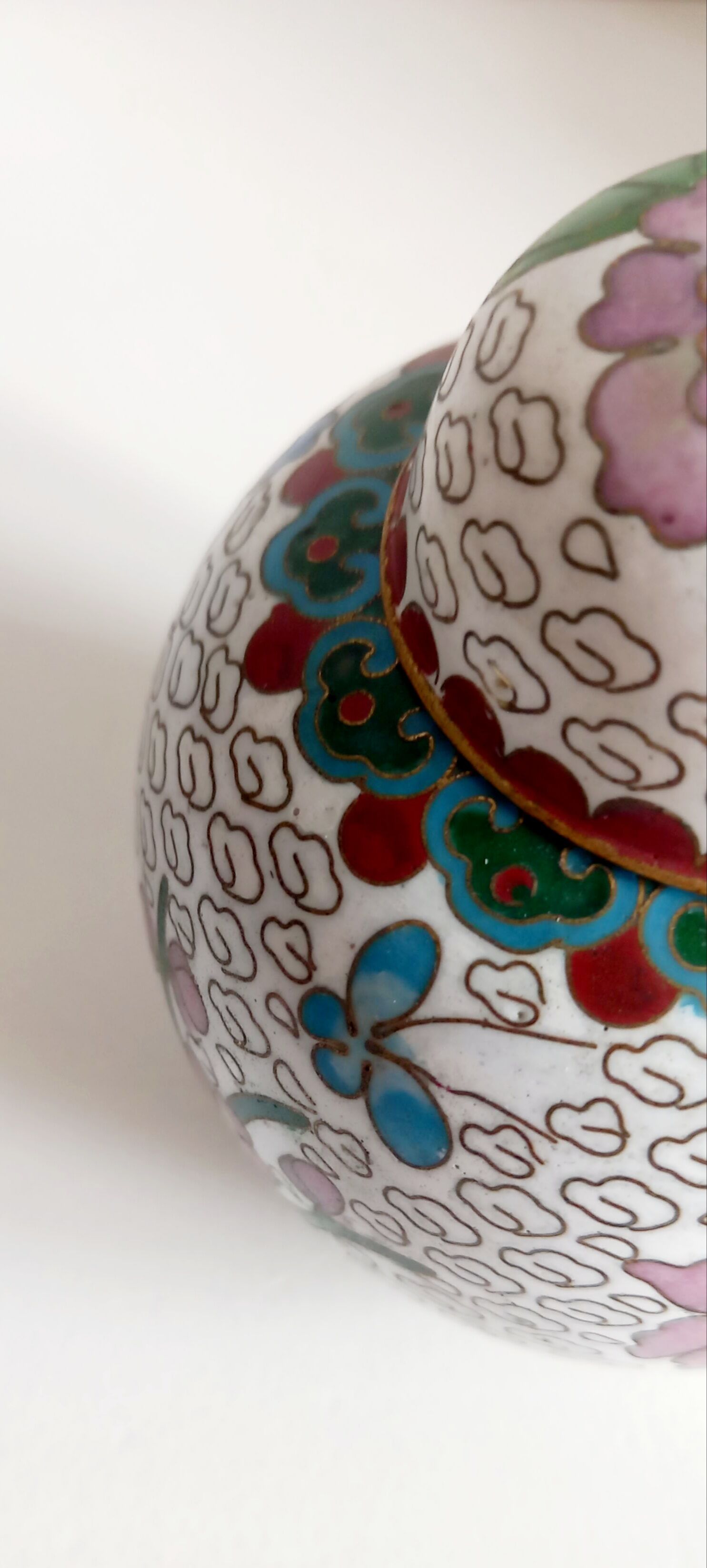 Partitioned ginger pot