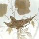 Vase art nouveau avec décor peint de coquelicots et de papillon 1900