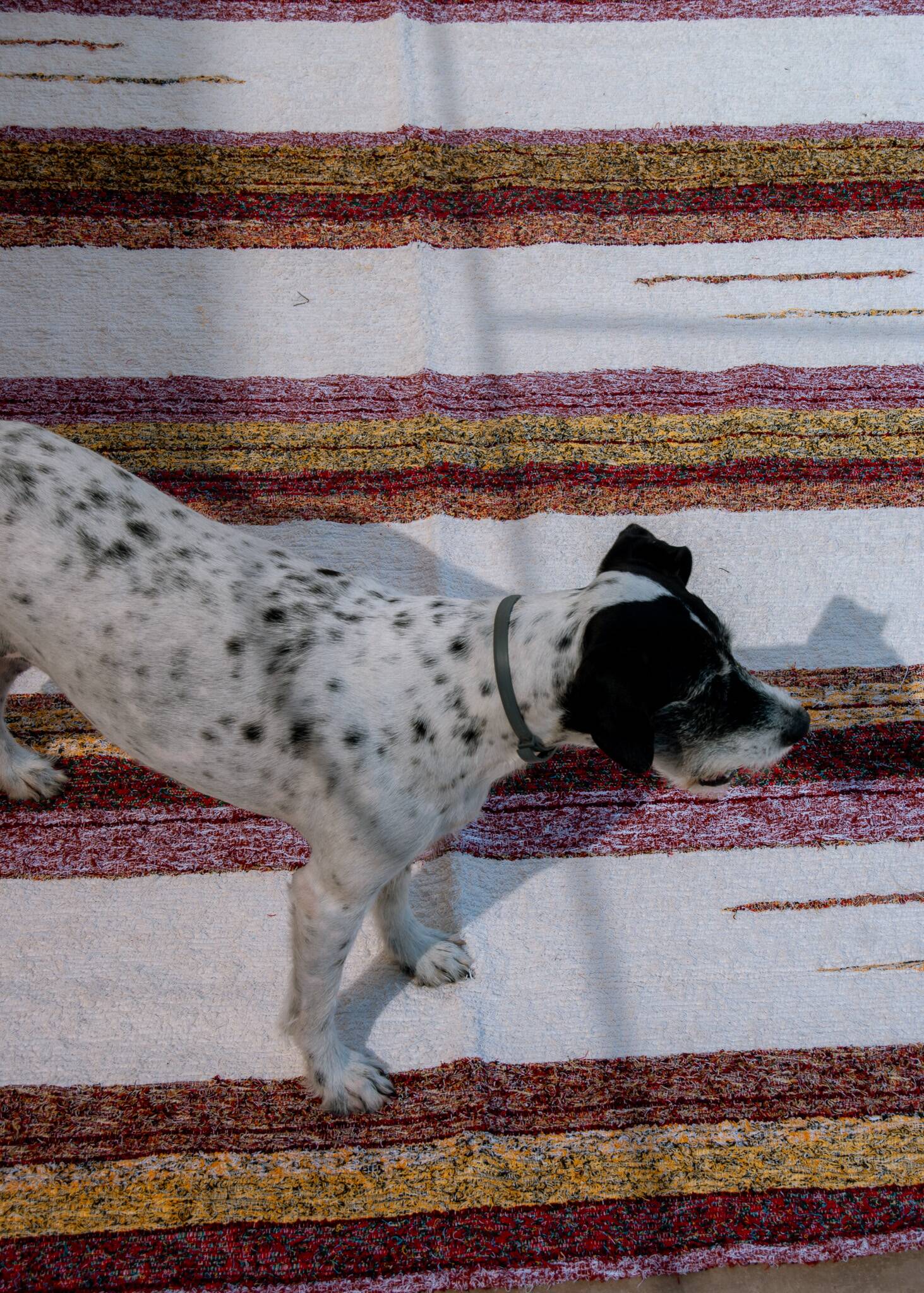 Handmade recycled cotton rug - Multicolor