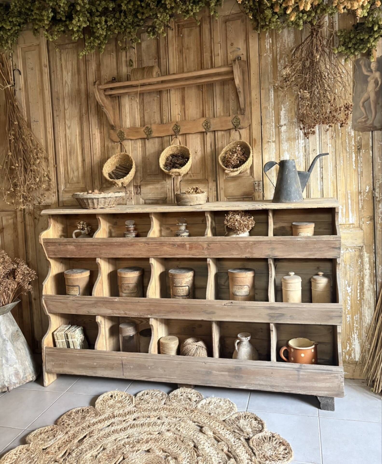 Ancien grainetier , meublé casiers en bois