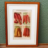 Set of 4 framed prints