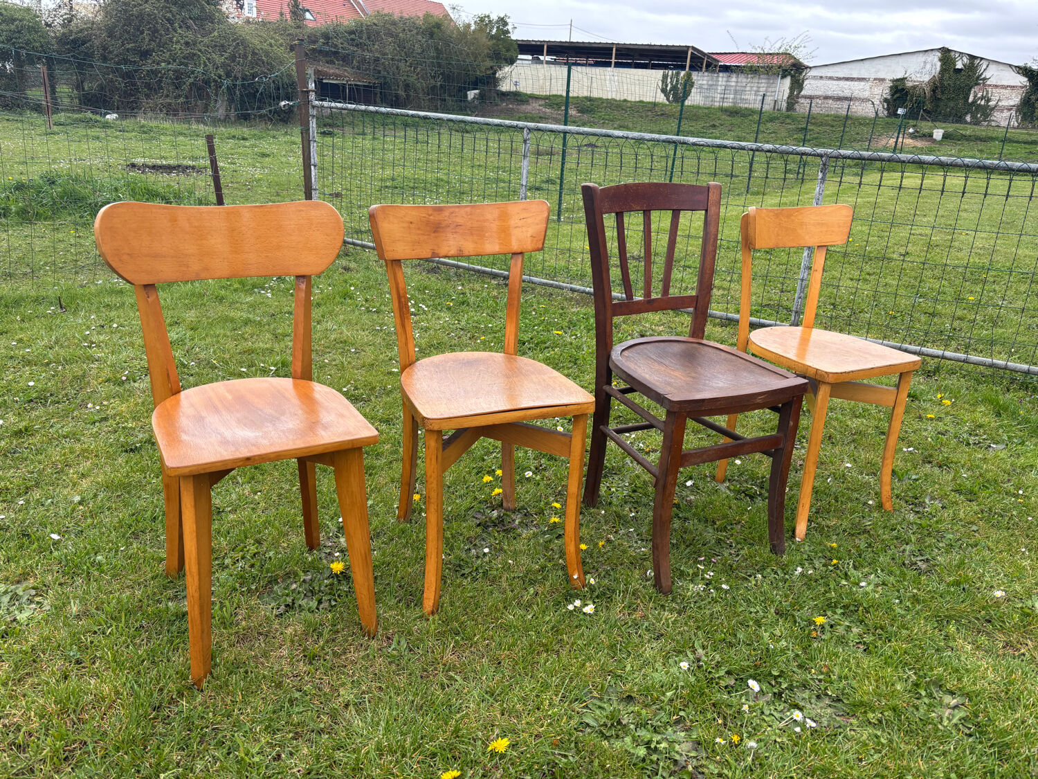 Bistro chairs
