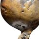 Bronze sculpture, signed Patsoglou